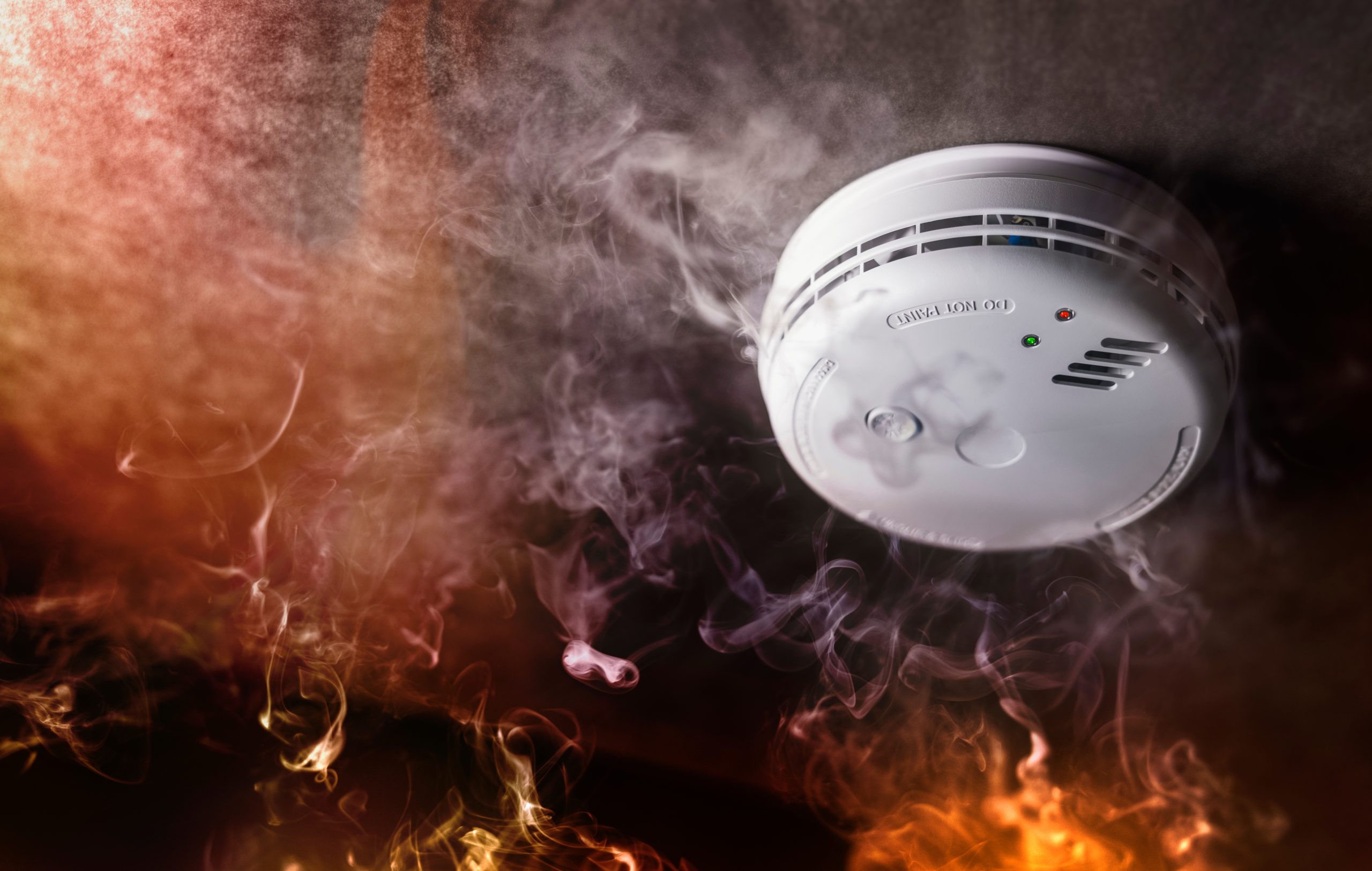 Smoke Detector and Fire Alarm in Action