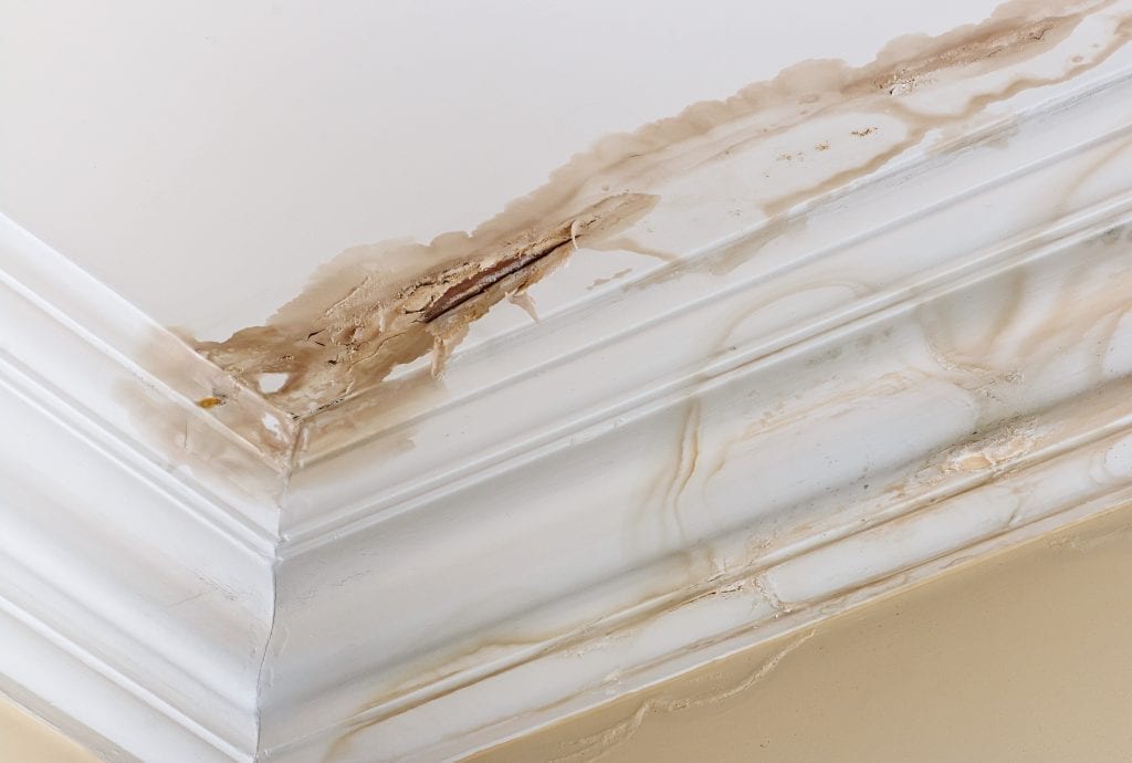 Water leaking through the ceiling - Trace and Access may be needed