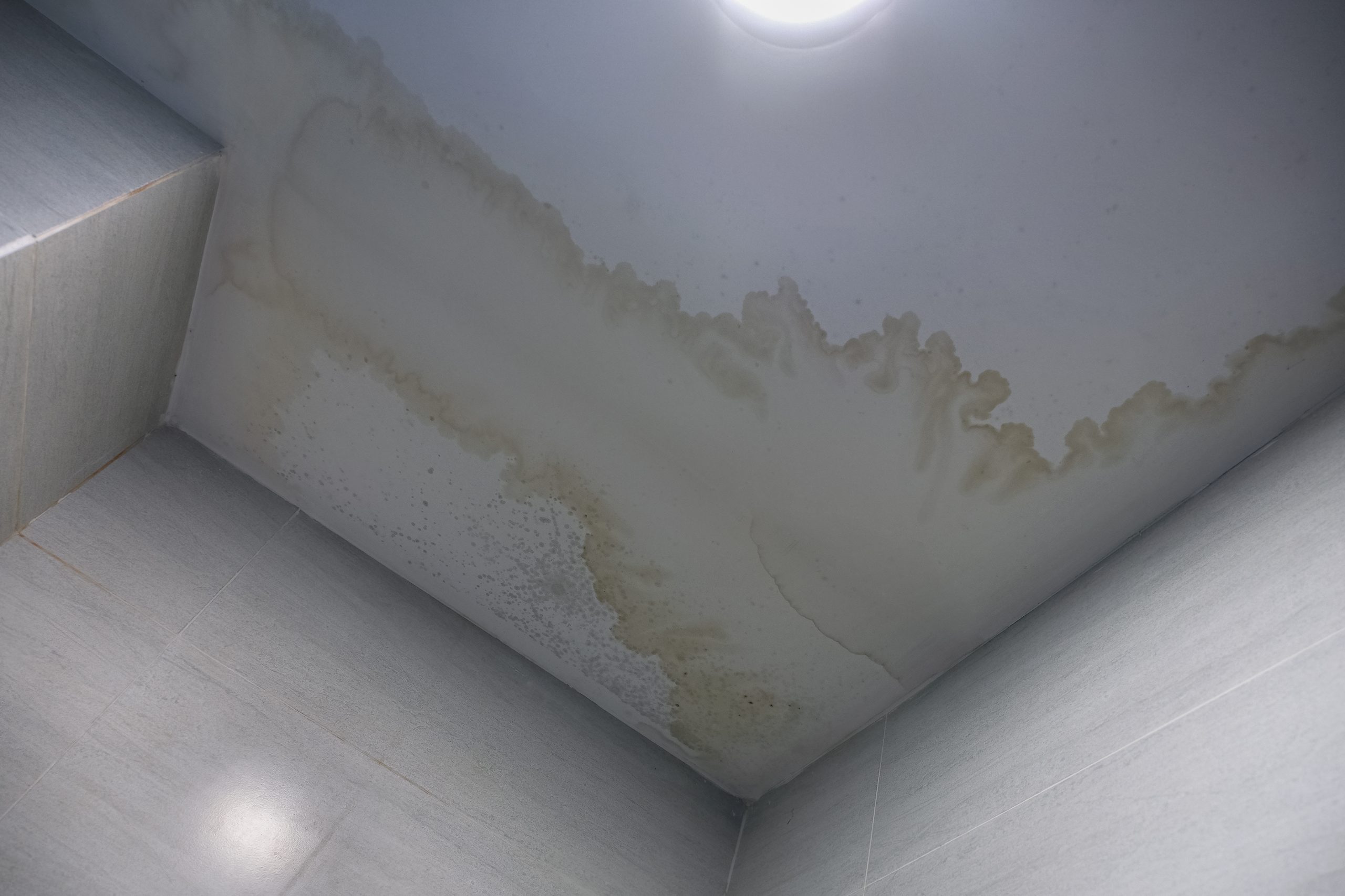 Leak Detection may be needed when a damp patch is found on the ceiling. 