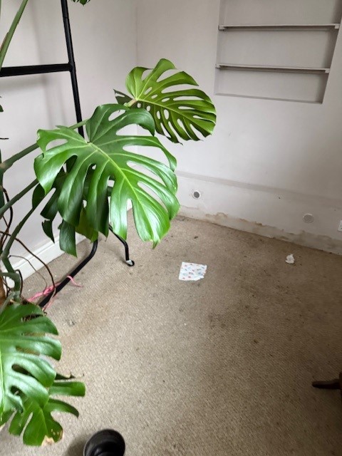 Property restored after sewage flood following tenant move-out